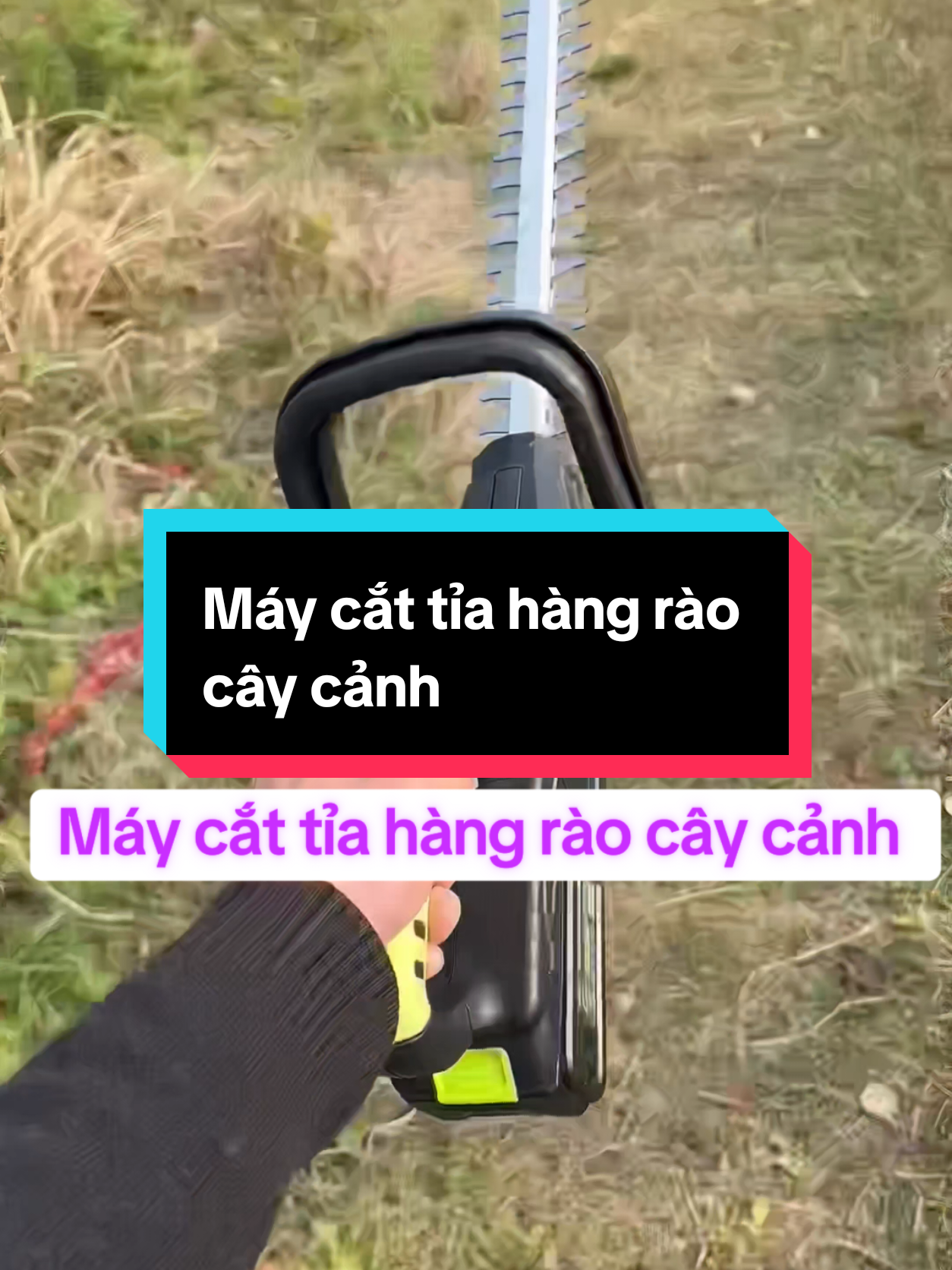 Máy cắt tỉa hàng rào cây cảnh đa năng #maycattiacaycanh #maycattiacanhcay #maycattiacanhcay #maycattiahangrao #maycattiahangraocatcaycanh #maycattiahangraocaycanh 