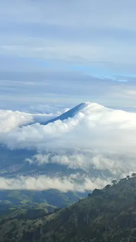 cantikk bangettt yaa Allah #gunungindonesia🇮🇩 #pendakigunung #sumbing3371mdpl #sindorosumbing 