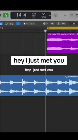 hey i just met you @Carly Rae Jepsen #carlyraejepsen #callmemaybe #meme #funny #song 