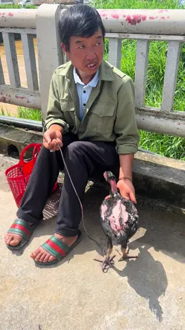 Phiên chợ bắc hà 😂