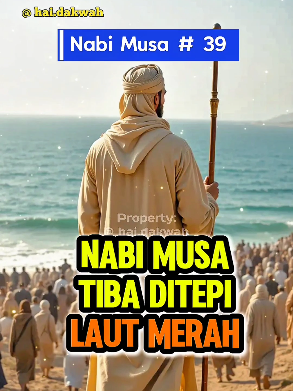 Kisah Nabi Musa di Laut Merah (Part 39) #musa #nabimusa #kisahnabi #kisahislami #kisahislam 