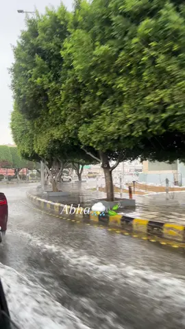 أجواء أبها 🥹⛈️🌱🤍. #ابها #تصويري #اكسلبورر_explore #عشوائيات_مصورة🤣🤍 #تصويري📸اكسبلوور #تصوير_ايفون #الشعب_الصيني_ماله_حل😂😂 #الشعب_الصيني_ماله_حل #ابها_الان #امطار #ابها_عسير #ابها #مطر #الصيف #امطار_اليوم 