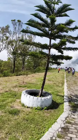 wolobobo