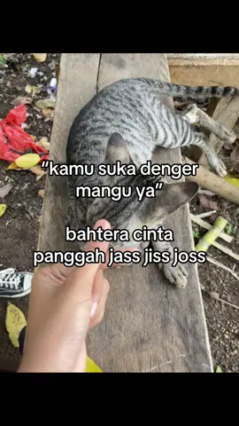 #fypage #foryou#fypシ゚ #fyptiktok #masukberandafyp 
