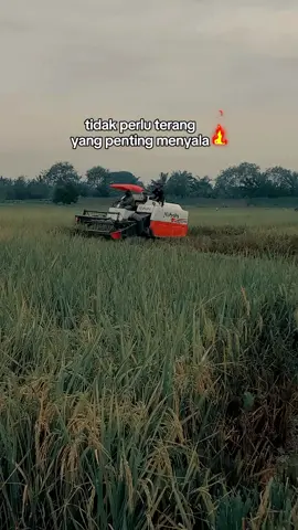ngk papa kecil.yng penting nyala 🔥#combine #kubota #Dc70😎 