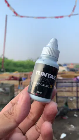 Tuntas atasi cacing yg membandel di merpati #promomakangajian #merpatikolongbebas #merpatikolong #merpatilovers #burungdara #merpati #fyp 