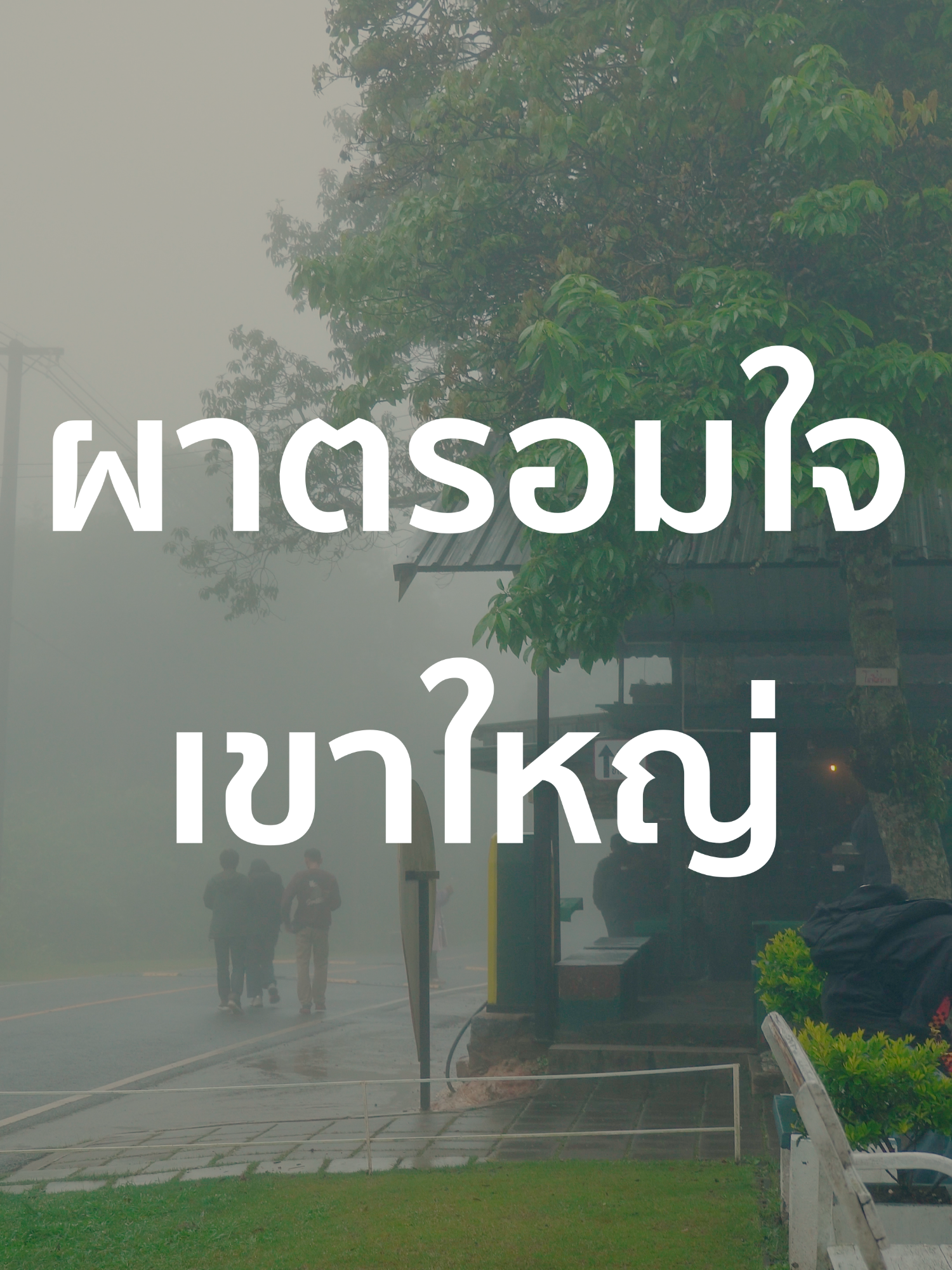 ผาตรอมใจหน้าฝน #adv350 #travel #เที่ยว #เขาใหญ่ #ผาตรอมใจ #thailand