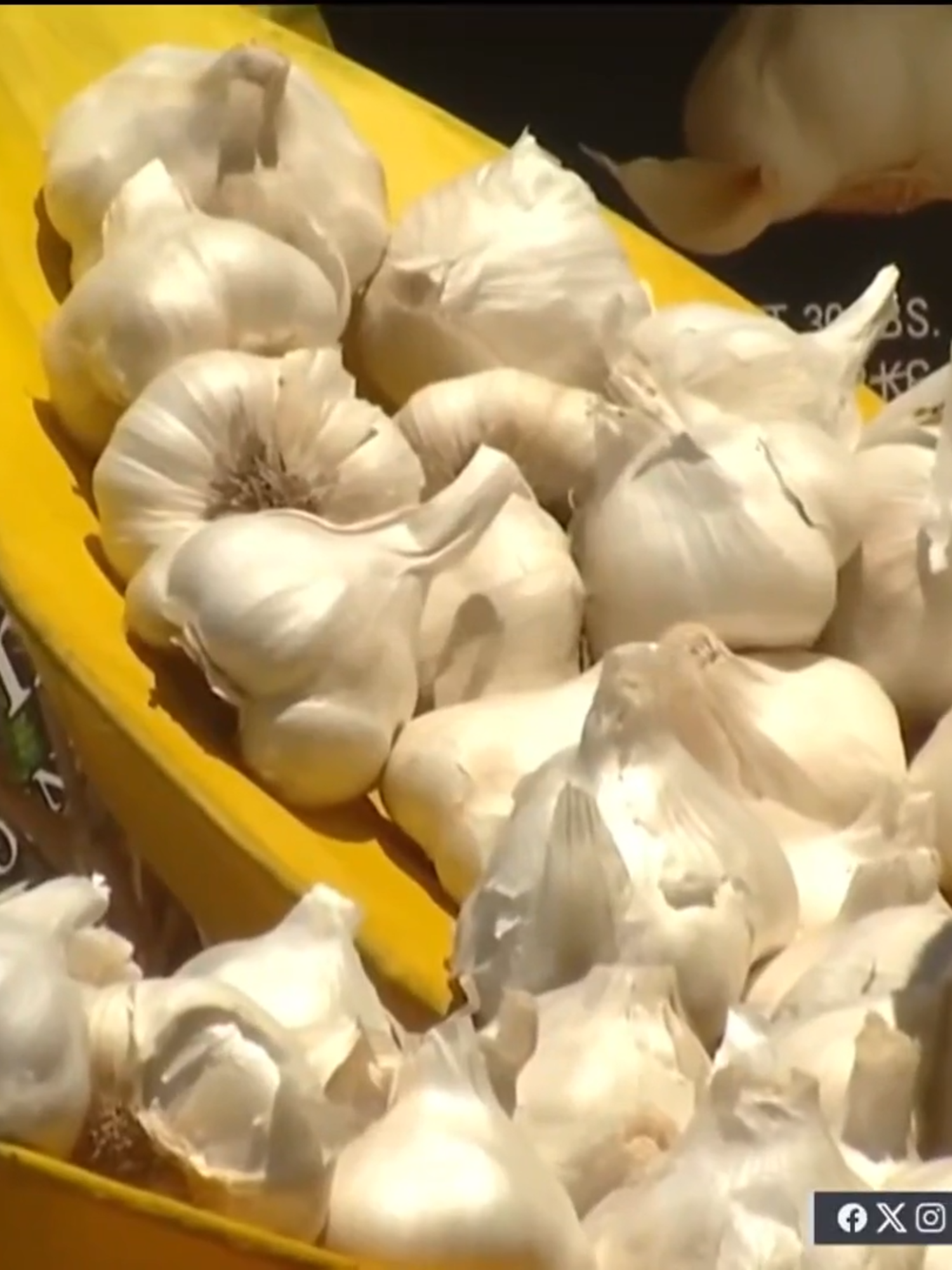 The Gilroy Garlic Festival is back, bringing with it delicious foods and specialty items to try out. It’s the festival’s first time back since 2019, when a shooting marred the event. #bayarea #gilroy #garlic #festival