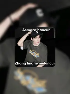 boleh  #zhanglinghe张凌赫  #aktorchina  #fyp