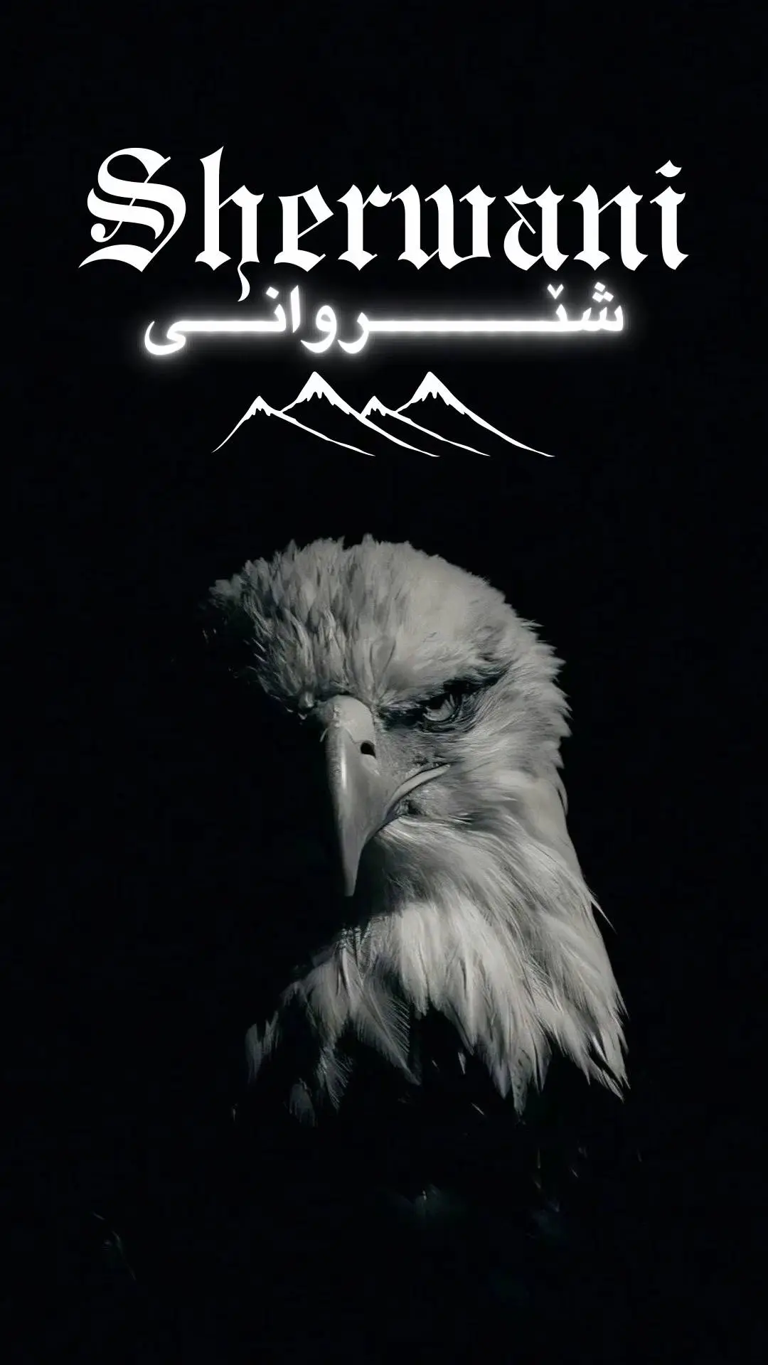#شێروانیم🦅🖤 #sherwaniiiiiiiii #sherwani🦅🖤 