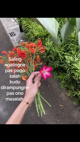 dikurangi egone ditambahi sabare🤍#masukberandamuu 