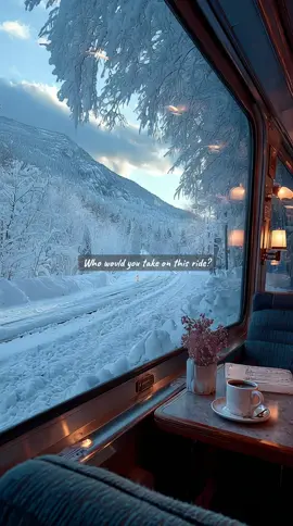 Who would you bring on this cozy ride? 🤍❄️ #cozytok #wintervibes #snow #christmastok #fyp #train #cozy 