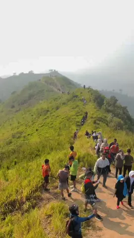 buat temen-temen yang belum nyampe puncak #bumiluhur nih Mimin kasih videonya   pokonya kalo ingin nyampe puncak , siapin lutut kalian  dan kalo bisa pagi - pagi biar adem #viral #fyp #kbp #kotabaruparahyangan 