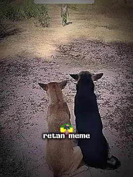 ene akucha nagn😂#ethiopian_tik_tok🇪🇹🇪🇹🇪🇹🇪🇹 #viralpost #viralpage #funny #CapCut 