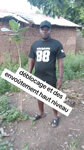 #tik #viral #boukina🇧🇫 #togo #benin #le grand baobab du moyen mono 