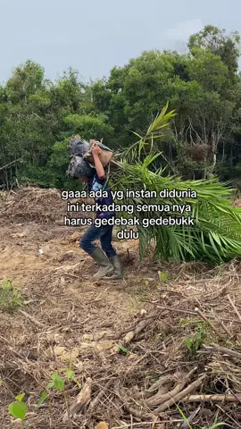 Fakta #sawit #sawitjambi #sawitriau #sawitontiktok #sawitbalap #sawitkalimantan #sawittiktok 