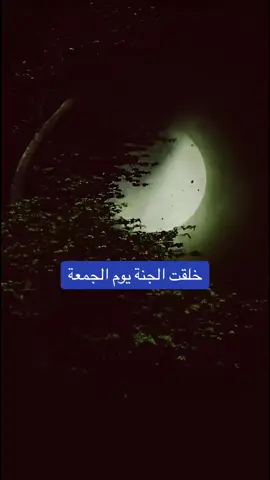#اللهم_انك_عفو_تحب_العفو_فاعف_عنا #لايك_متابعه_اكسبلور_ #فضلاً_وليس_امراً_💙_🌹 #fyp #tiktok #L 