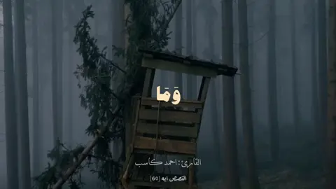 ~ صـليـ عـلي الـنبي .🤍 ٖ . ٖ #استغفروا_ربكم_انه_كان_غفارا #اكتب_شئ_توجر_عليه #استوريهات_واتساب #اكسبلورexplore #flpシ #foryou #flpシ 