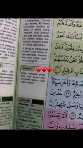 #tampardiri #reminder #murojaah #tahfidz #foryoupage #fyp #penghafalquran 