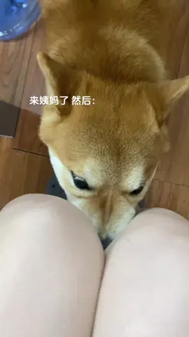 舔狗 拿捏🫴#舔狗日记