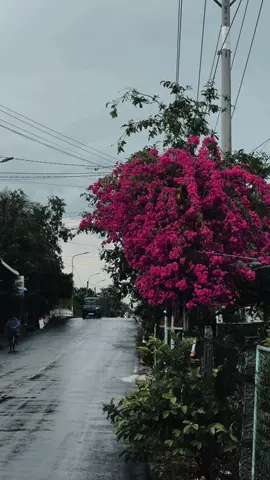 em vẫn muốn nghĩ rằng… #chill #rain #fyp #nguyendinhtoan #radio #cantho 