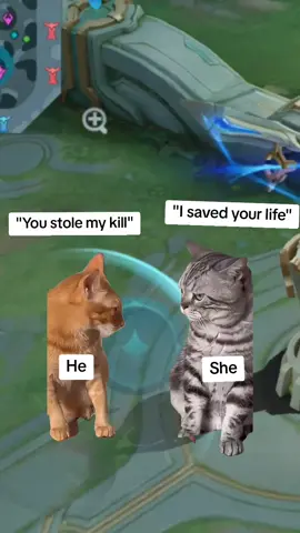 Could be us 😔🥰#fyp #mobilelegendtiktok #MLBBNepal #mobilelegendnepal #mlbbbangbang #mobilelegends_id 