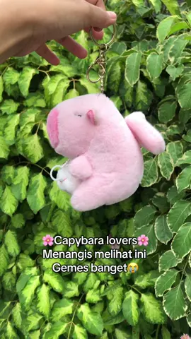 Gemesss poll🍒#capybaralovers #fyp#gantungankunci 