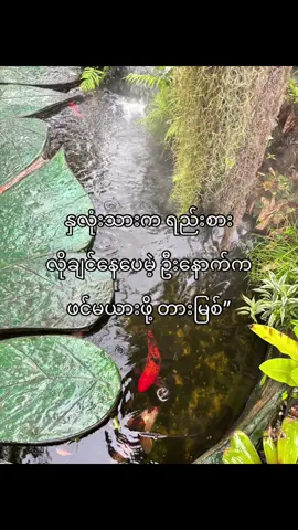 ဘယ်လိုလုပ်ရမလဲ”🤷🏻#fyyyyyyyyyyyyyyyyyyy #fypツ #foryou #စာတို #ကြေကွဲလူငယ်၄ #fypp #ဖလုတ်နေလိုက်🙂 #fypviralシ゚viral #တွေးပြီးမှတင်ပါ #viewတေရှယ်ကျ #tiktokmyanmar #fypviralシ #myanmar #tiktok 
