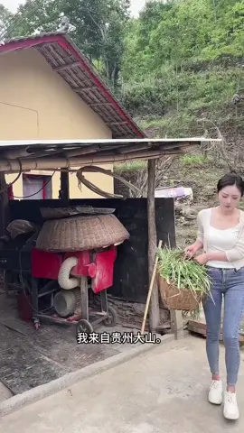 #台灣 