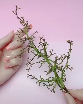 hand made decoration ideas for #asm #DIY #tiktokideas #as #decoration #grw #viral #asian #fy #ju #craftswithMN 