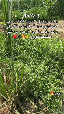 #سوهاج_بلدي_وافتخر_بيها،🌴💯👑 #لاغالب_إلا_الله 