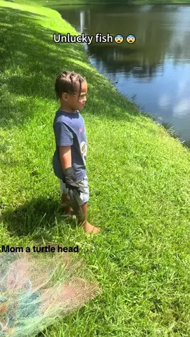 Unluckiest Creatures on Earth 🌍😬#Fish #dog #raccoon #crane #deer #turtle #foryou #unlucky #animals 