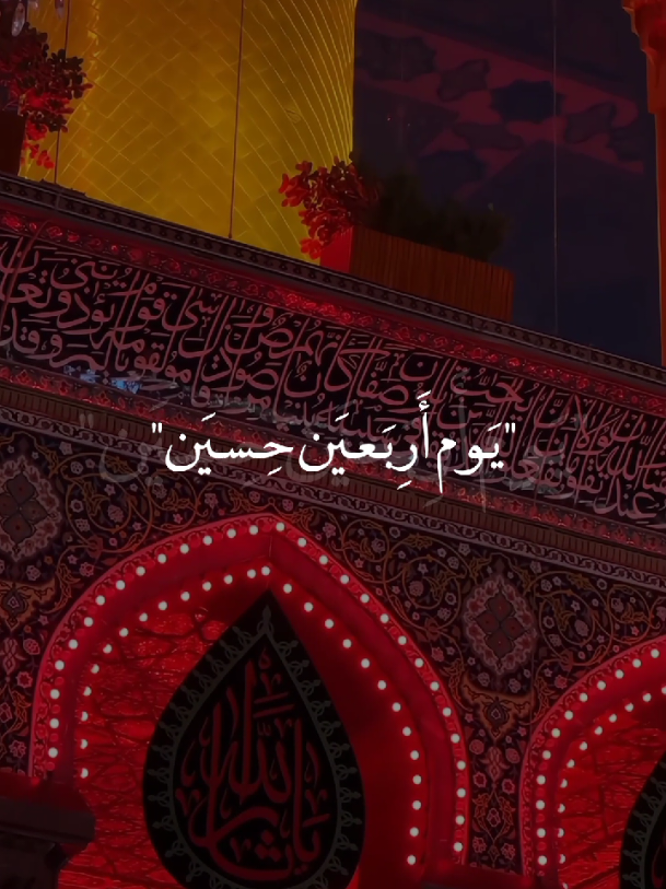يوم أربعين حسين😔💔. #ياحبيبي_ياحسين💔  #يازينب_الكبرى💔 #يافاطمة_الزهراء💔  #ياصاحب_الزمان💔 #زيارة_الأربعين  #مشاية #ياحسين  #خادم_المذبوح🤎 
