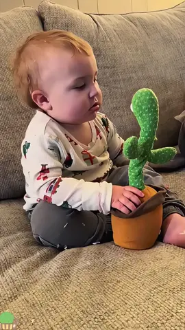 Why are there cactus toys in the world?🤣#funny #funnyvideos #CactuToyReactions #funnykids #babyreaction #cutebaby #tiktok #foryou 