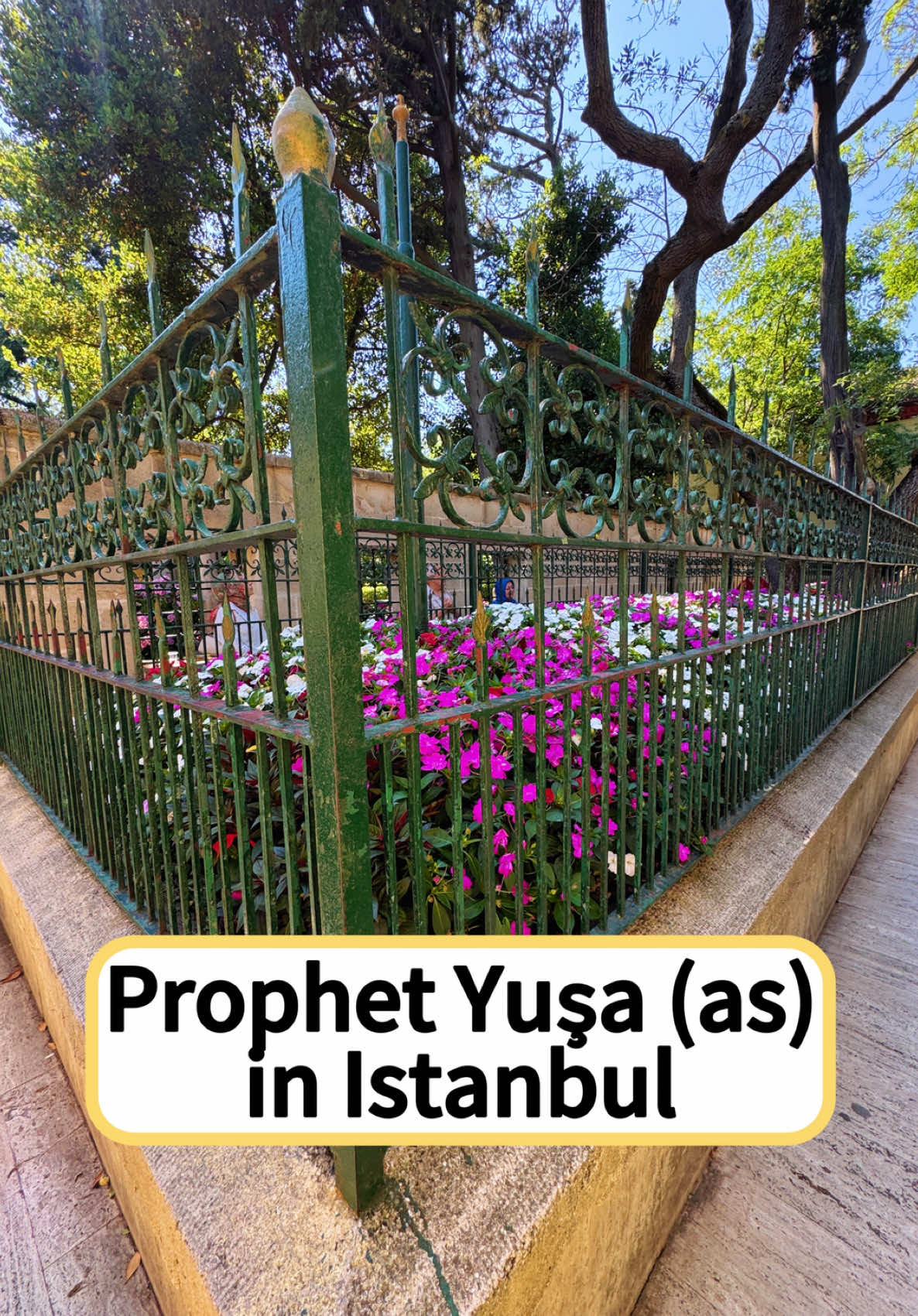 Did you know a prophet is buried in Istanbul? 🕊️ High above the Bosphorus, on the city’s tallest hill, lies the maqam of Prophet Yusha (Joshua) عليه السلام — the noble successor to Musa A.S., who led Bani Isra’il into the Promised Land. According to spiritual tradition, his soul chose this resting place, far from corruption and close to sincerity. Joshua’s hill is about 45 taxi ride from Üsküdar in the Asian side of Istanbul. You can also visit as part of a Ziyarah tour with Simple Dervish which we have personally done and highly recommend! The tour includes visits to many Sahaba and Saints all around Istanbul, and is very spiritually uplifting.  📍 Joshua’s Hill – Beykoz, Istanbul #ProphetYusha #JoshuasHill #IstanbulHistory #IslamicHeritage #SacredPlaces #SpiritualTravel #Maqam #Beykoz #OttomanLegacy #HistoryShorts #sufi #sufism #spiritualjourney #spiritualtravel #islam #purposeoflife 