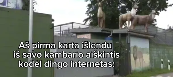 #fyp #foruyou #foryou #foryoupagе #relatable 