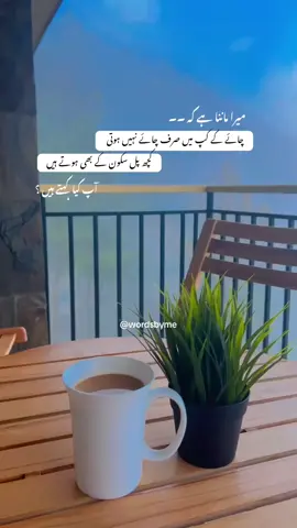 CHAI LOVERS 🍂 آپ کیا کہتے ہیں ۔۔؟ بارش، خاموشی، اور ایک کپ چائے...  کبھی کبھی سکون چیزوں میں نہیں، لمحوں میں ہوتا ہے۔ #tea #tealover #chai #naturevibes #wordsbyme #urdupoetry #fyp #fypシ゚ #foryou #foryoupage #viral 