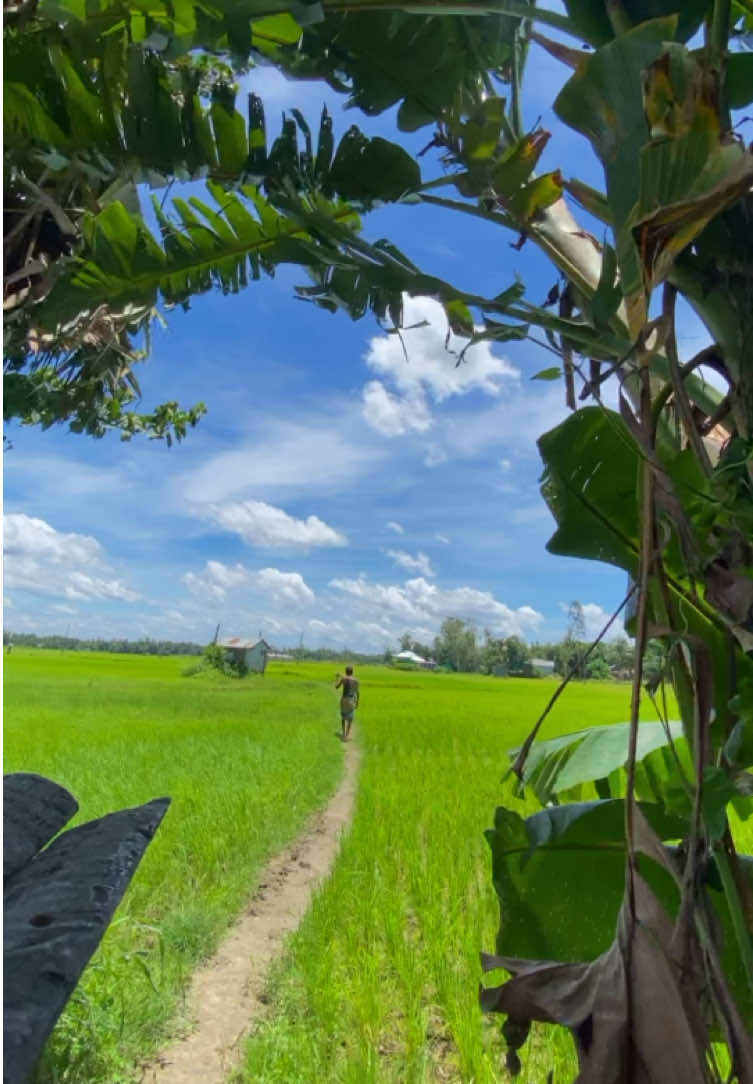 Natural sound 🏞️😌#foryou #foryoupage #vairal #copylinkplease💗 #tangail_bd #mojammel_adnan @TikTok @TikTok Bangladesh 