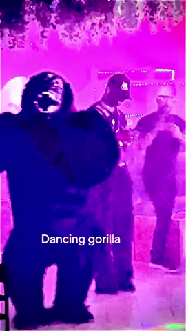 #gorilla #dancer #night #winnipegtiktok #canada_life🇨🇦 #nightlife #light 
