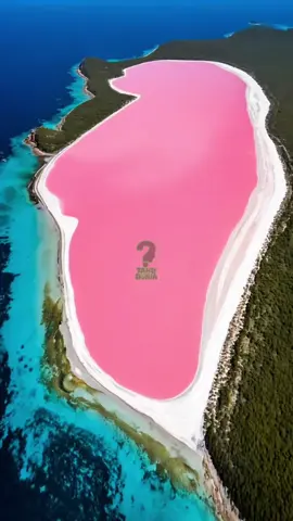 Danau susu strawberry di australia😱 #viral #faktadunia #faktaunik #viraltiktok 