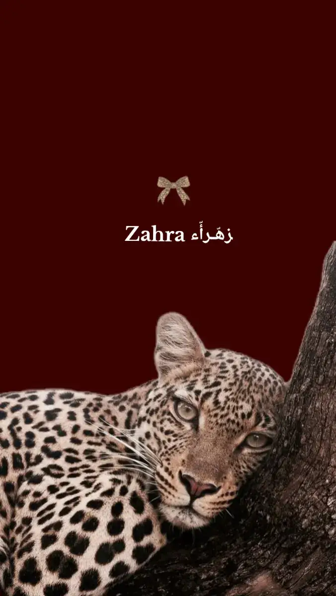 #لَأّيِّکْ #اخاف #حًروٌفُـ #مًتٌـأّبًعٌهّـ