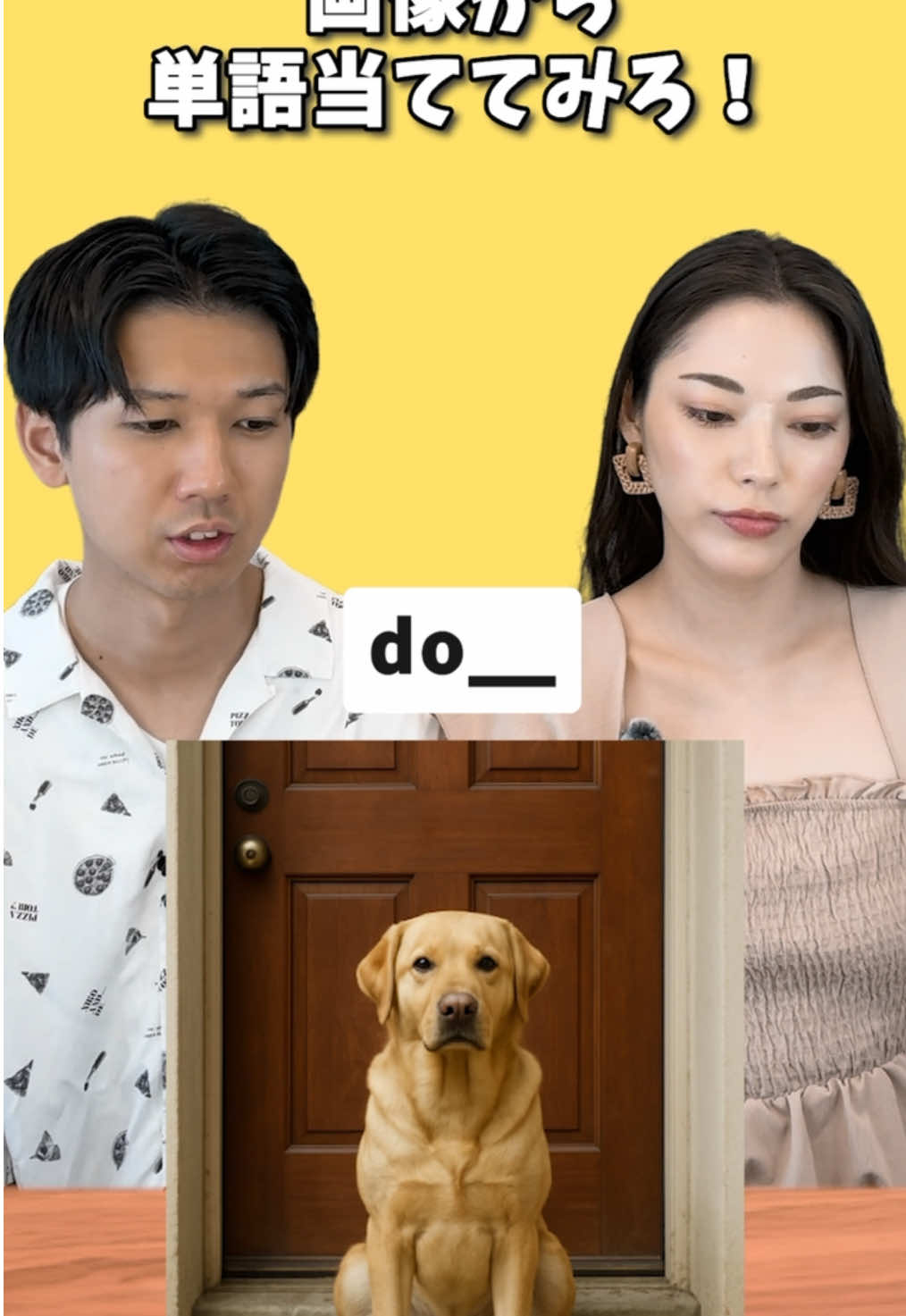 🐶かわいい@GRADIS/グラディス #英語 #英会話 #talkfulの英語部屋 #英語の勉強 