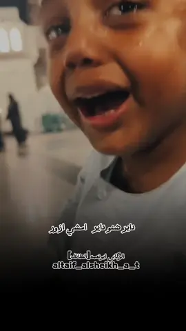 داير امشي ازور صل الله عليه وسلم #اللهم_صل_وسلم_على_نبينا_محمد #اللهم_صل_وسلم_على_نبينا_محمد #اللهم_صلي_على_نبينا_محمد #مديح_سوداني #الركابي_ابونعمه💚✨️ 