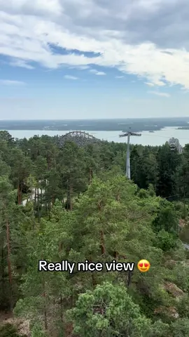 😍 love it ! #kolmarden #zoo #familytime #suprice #mom #momontiktok #views 