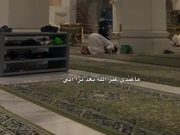 باسم كاله واني اردد بيه، #محضور #متابعه #slowmotion #اللهم_صلي_على_نبينا_محمد #باسم_الكربلائي 