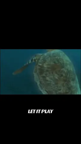 Let it PLAY #explore #fyp #visualizer #music #fyp #explore #fengshui #balanced 