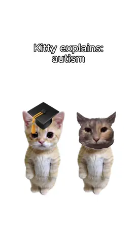 Be kind… #kitty #Love #story #fy #tiktok #share #like #you #me 
