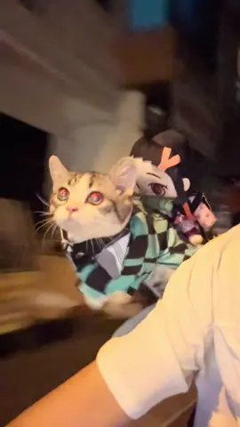 Hơi thở pate  #pheobinmacca #catsoftiktok #demonslayer #demonslayeredit #tanjiro #nezuko 