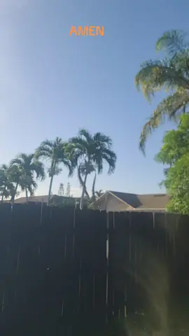 #sapingosenmiami 