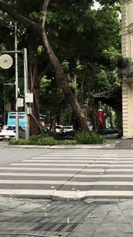 Hà Nội lại sắp bước vào mùa đẹp nhất trong năm 🍂 #hanoi #muathuhanoi 